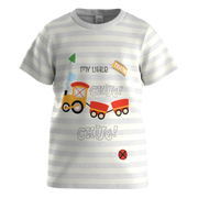 Grey Striped Train Print Boys T-Shirt | “My Little Train” Graphic Tee | Soft Cotton Kidswear | 1172
