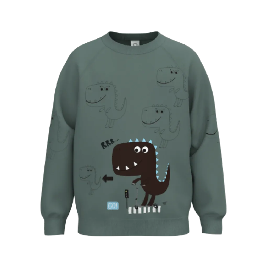 1269T BOY’S SWEATSHIRT