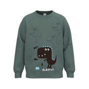 1269T BOY’S SWEATSHIRT