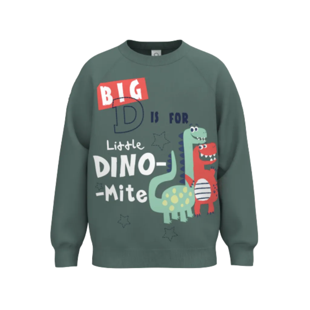 1339 BOY'S SWEATSHIRT