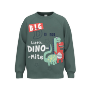 1339 BOY'S SWEATSHIRT