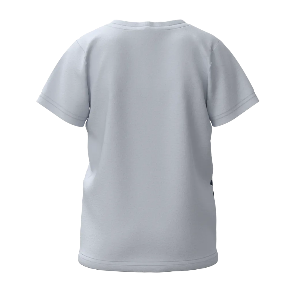 Sky Blue Boys Printed T-Shirt | Dino Party Graphic Tee | Soft Cotton Casual Kids Wear | 1480