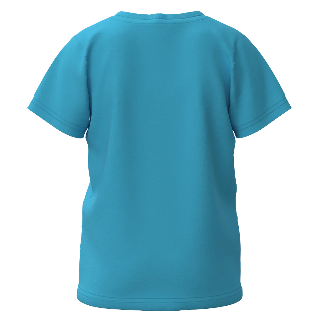 Blue Cotton Short Sleeve T-Shirt for Boys | Cute Lion Travel Graphic Casual Tee | 1496