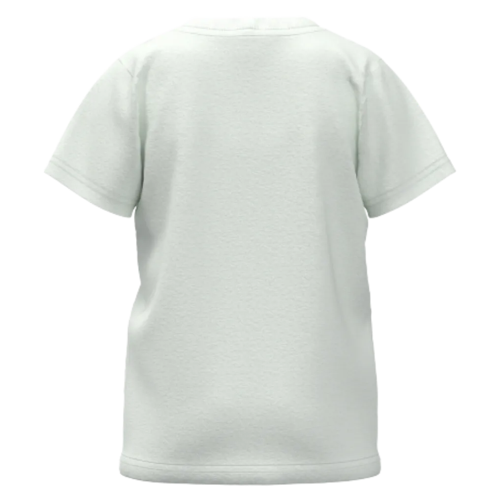 Ash Cotton Short Sleeve T-Shirt for Boys | Dinosaur Graphic Soft Everyday Tee | 1576