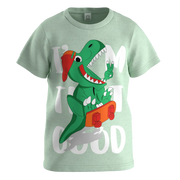 Sea Foam Cotton Short Sleeve T-Shirt for Boys | Cool Dinosaur Skateboard Graphic Tee | 1581