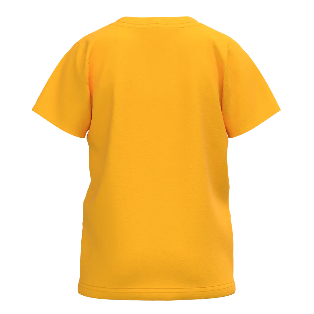 Orange Pohela Boishakh Boys T-Shirt | Kids Bengali New Year Outfit | Dhol Playing Dinosaur Tee | 1625