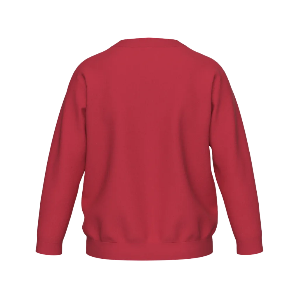 1722 BOY'S SWEATSHIRT
