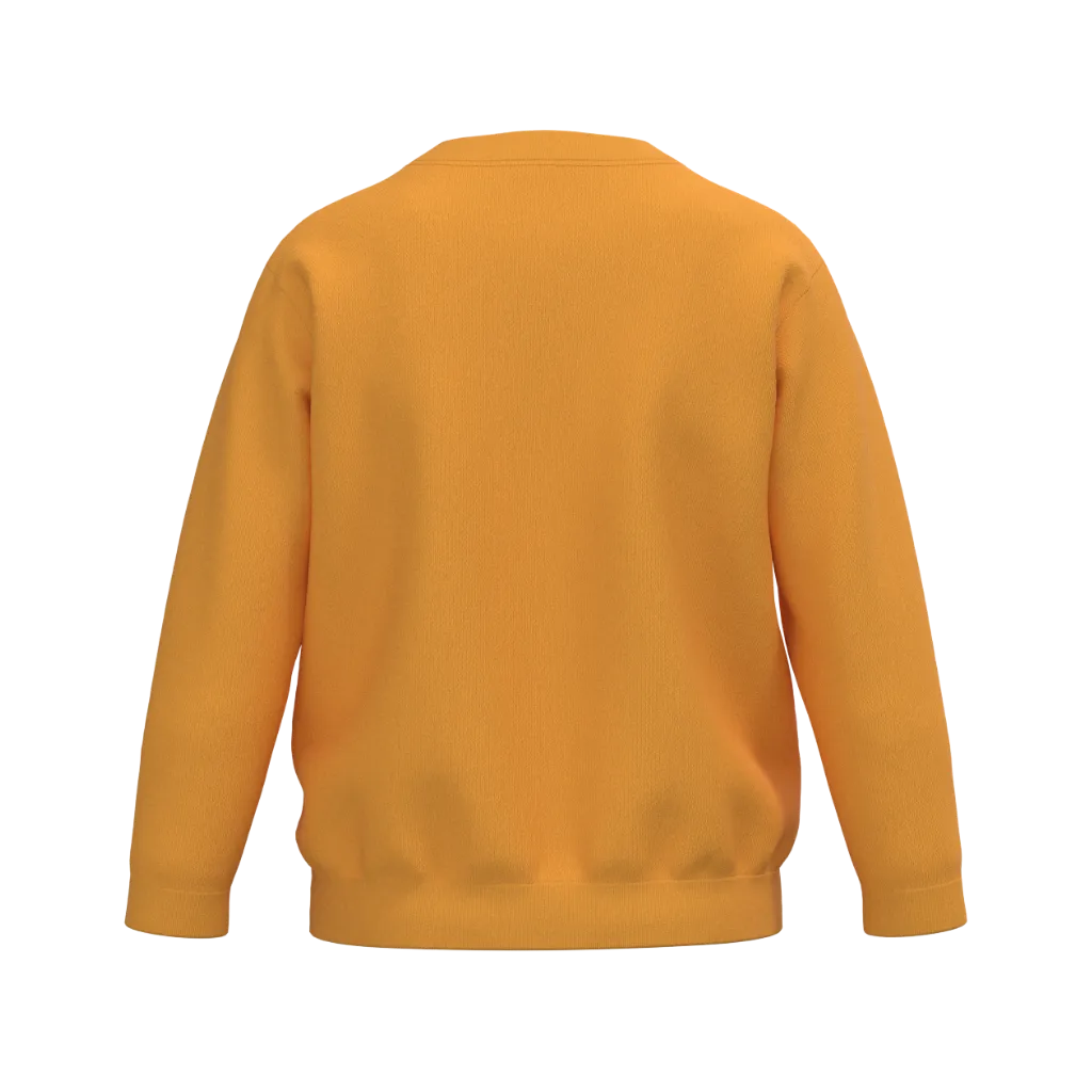 1726 BOY'S SWEATSHIRT