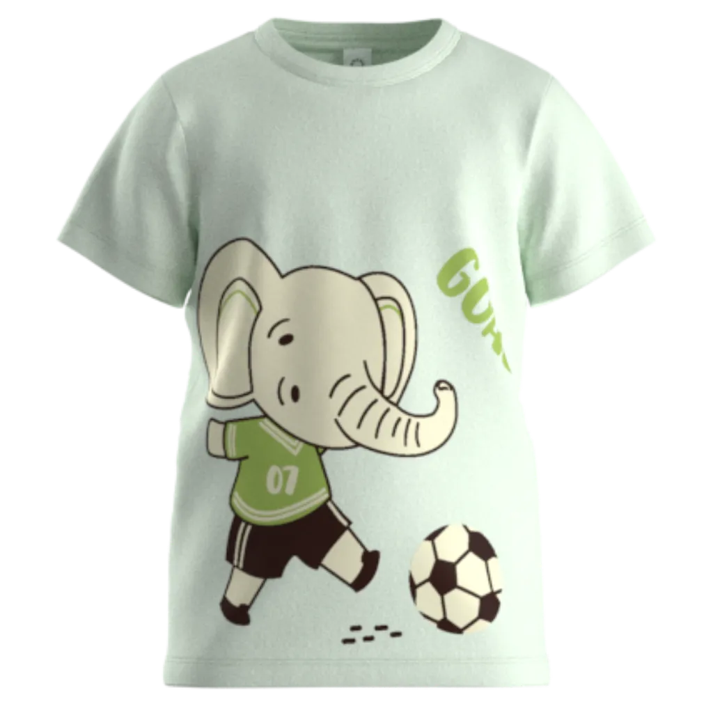 Ash Elephant Football Graphic T-Shirt for Boys | Kids Cotton Tee | Cute Animal Sports Print Casual Wear | 1825