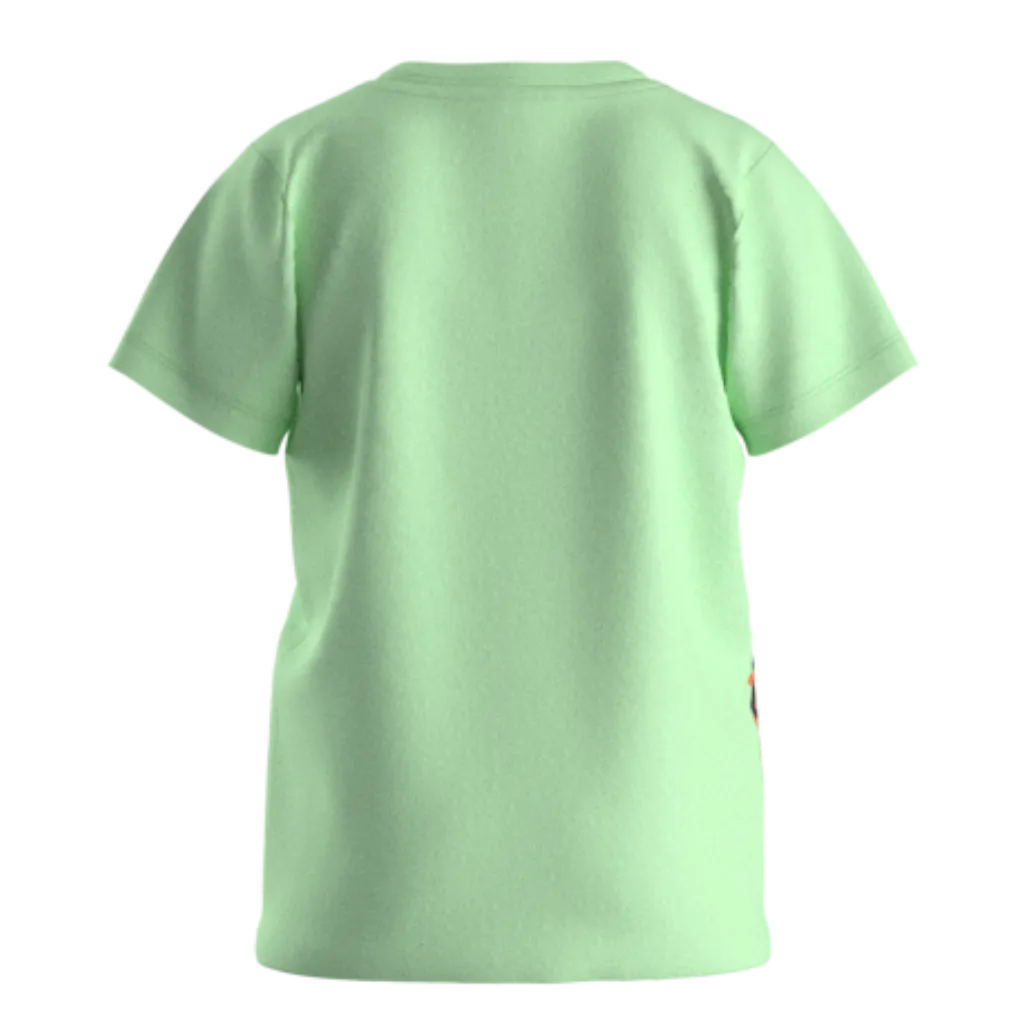Green Cotton Short Sleeve T-Shirt for Boys | Lion Crown Graphic Summer Tee | 1826