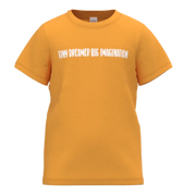 Yellow Cotton Short Sleeve T-Shirt for Boys | Tiny Dreamer Graphic Kids Tee | 1832
