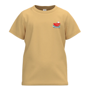 Brown Cotton Short Sleeve T-Shirt for Boys | Soft Everyday Basic Tee | 2136