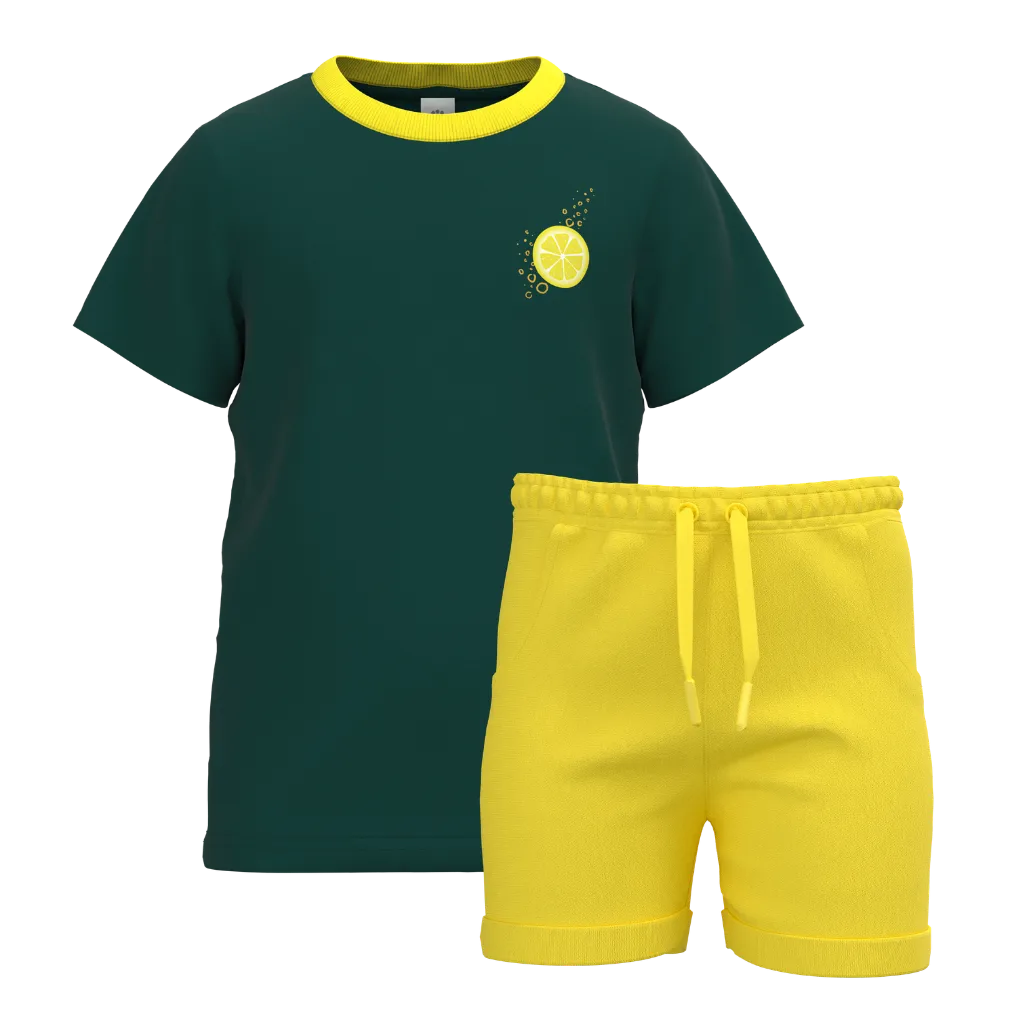 Green & Yellow Boys T-Shirt with Shorts Set | Kids Cotton Summer Outfit | Lemon Print Co-ord Set | 2184