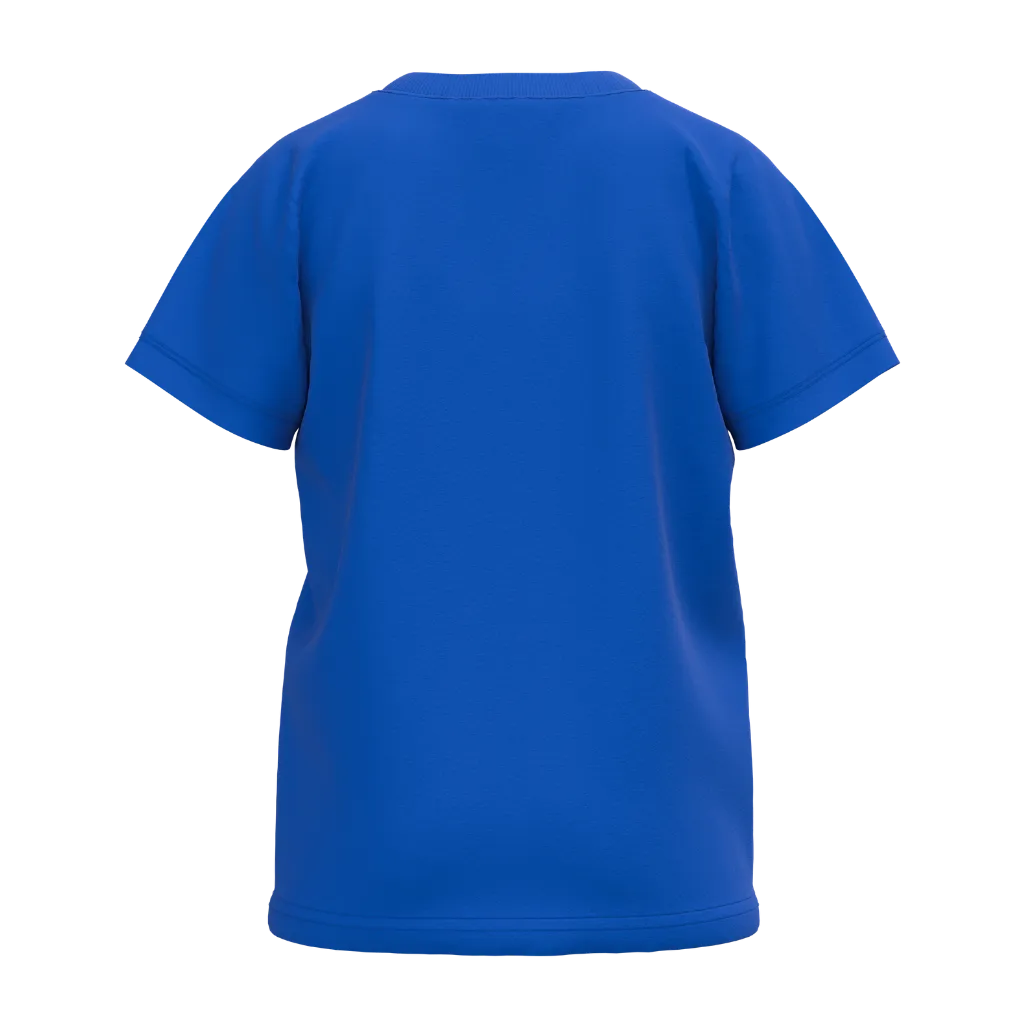 Blue Boys Graphic T-Shirt | Dinosaur Print Casual Tee | Soft Cotton Half Sleeve Summer T-Shirt | 2278