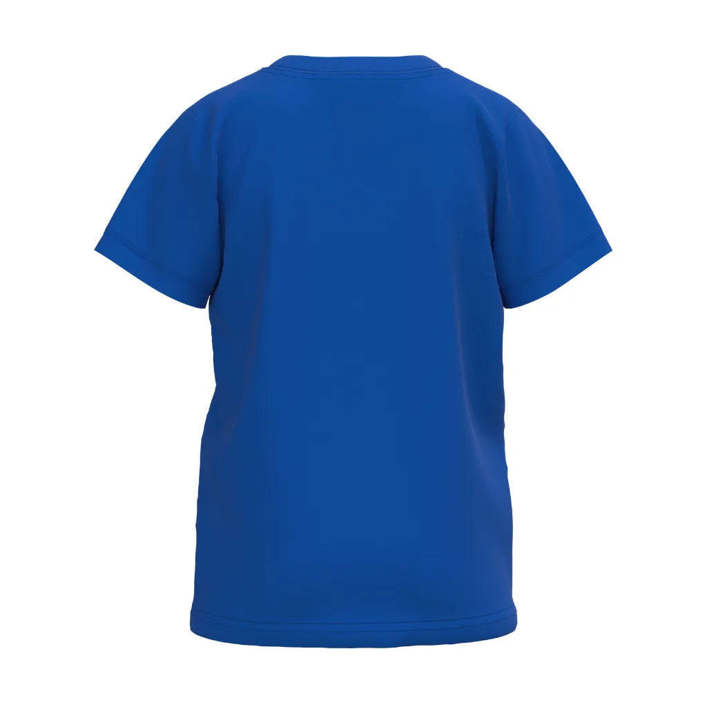 Blue Boys Graphic T-Shirt | Cool Bear Sunglasses Print Casual Tee | Soft Cotton Half Sleeve Everyday T-Shirt | 2281B